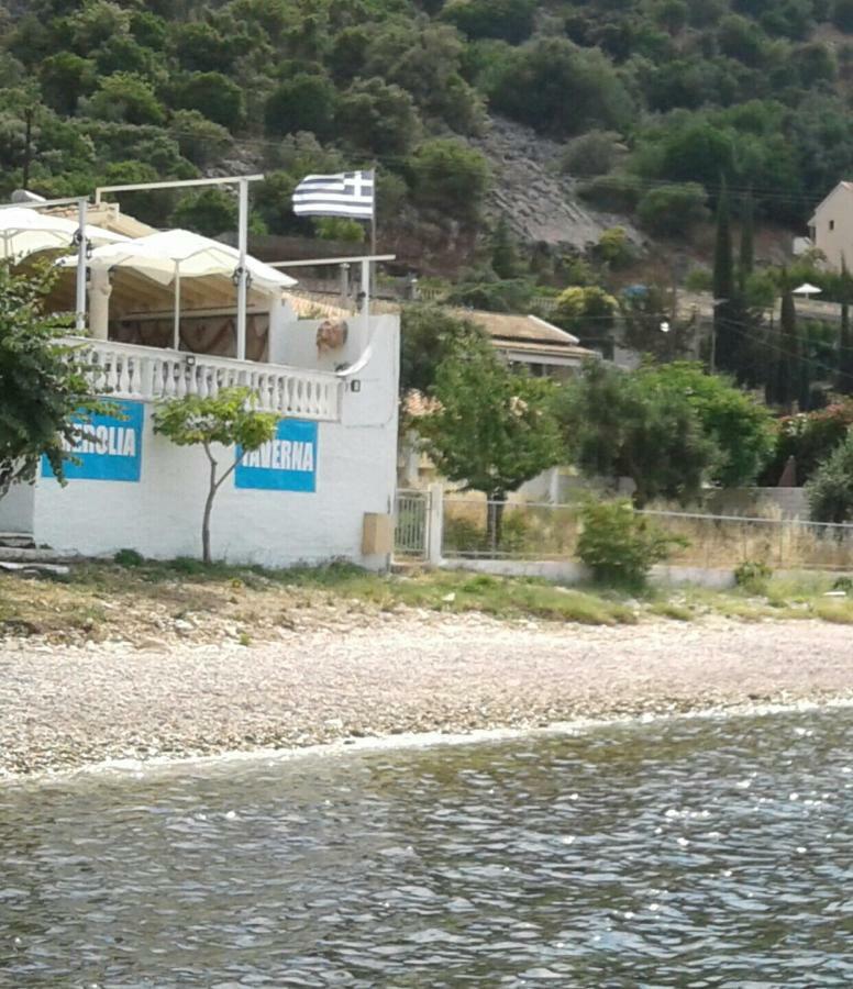 George And Danai Apartments Kassiopi Exterior foto